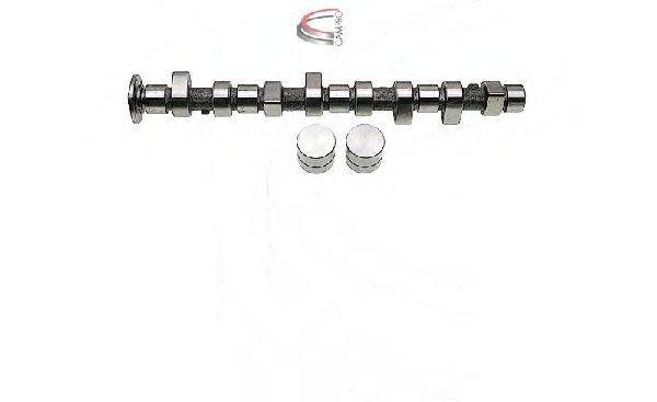 CAMPRO CP61917 Комплект розподільного валу